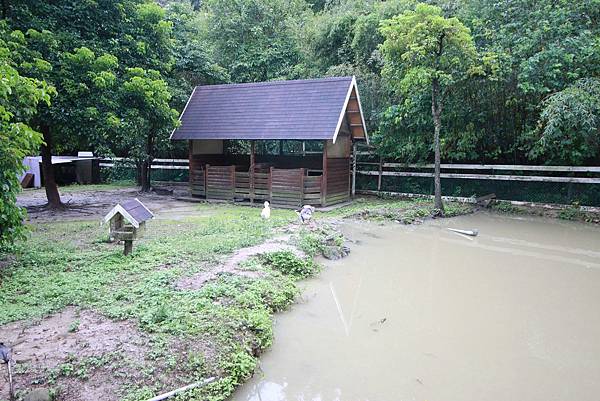 【台北旅遊】三峽皇后森林-童話故事般的親子森林遊樂區-露營烤肉