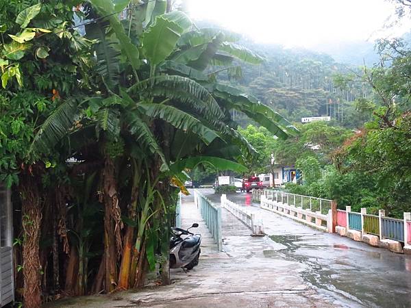 【台北旅遊】三峽皇后森林-童話故事般的親子森林遊樂區-露營烤肉