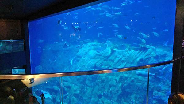 【香港旅遊景點】海洋公園-萬聖節血腥大餐