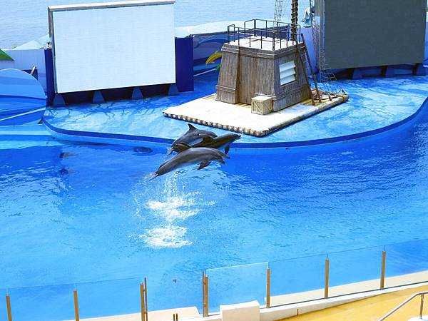 【香港旅遊景點】海洋公園-萬聖節血腥大餐