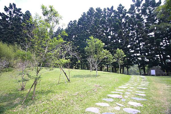 【新竹旅遊】新竹節氣小旅行-南園人文客棧&金漢沛餅DIY一日遊