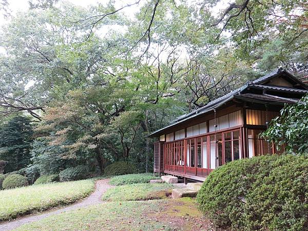【日本東京自由行】明治神宮-美麗的日本景觀