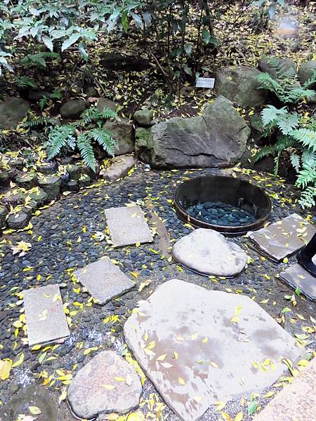 【日本東京自由行】明治神宮-美麗的日本景觀