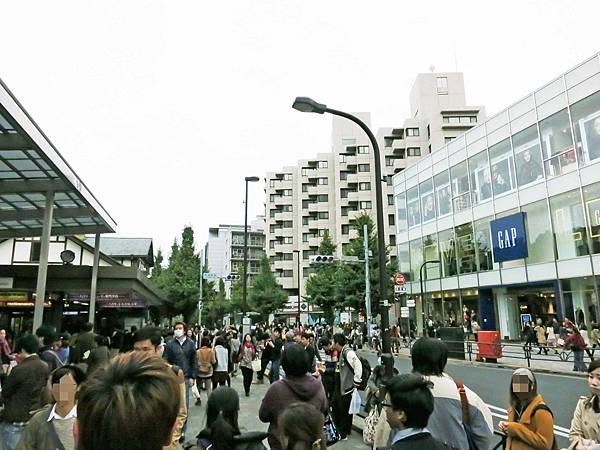 【日本東京自由行】明治神宮-美麗的日本景觀 【日本東京自由行】明治神宮-美麗的日本景觀