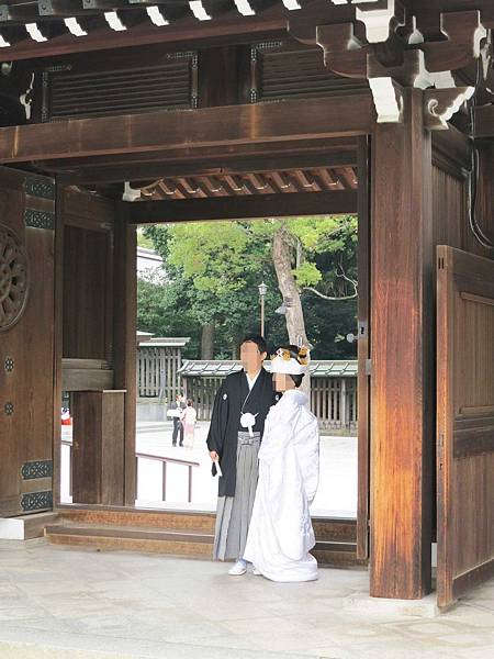 【日本東京自由行】明治神宮-美麗的日本景觀