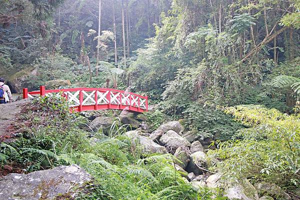 【新竹旅遊】馬武督探索森林-綠光森林小學