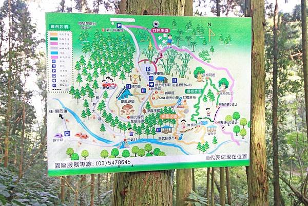 【新竹旅遊】馬武督探索森林-綠光森林小學