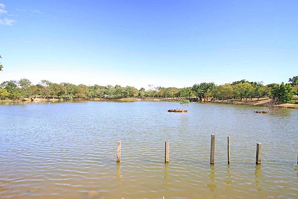 【桃園旅遊景點】八德埤塘生態公園-腹地廣大的親子公園 【桃園旅遊景點】八德埤塘生態公園-腹地廣大的親子公園