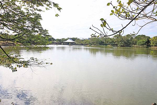 【桃園旅遊景點】八德埤塘生態公園-腹地廣大的親子公園