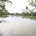 【桃園旅遊景點】八德埤塘生態公園-腹地廣大的親子公園