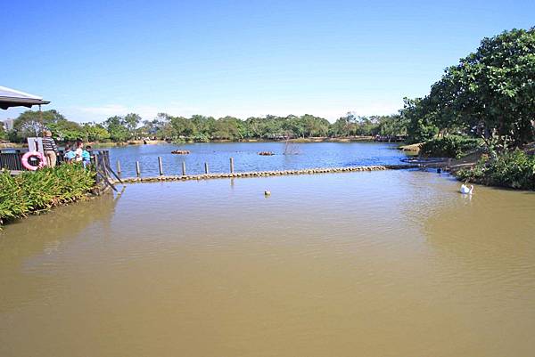 【桃園旅遊景點】八德埤塘生態公園-腹地廣大的親子公園