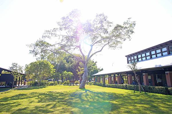 【桃園旅遊景點】八德埤塘生態公園-腹地廣大的親子公園