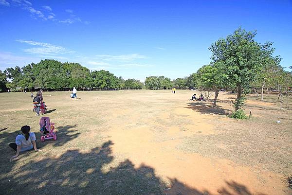 【桃園旅遊景點】八德埤塘生態公園-腹地廣大的親子公園