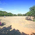 【桃園旅遊景點】八德埤塘生態公園-腹地廣大的親子公園