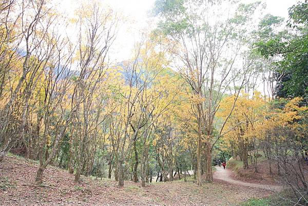【桃園旅遊景點】桃源仙谷-桃園山中的世外桃源