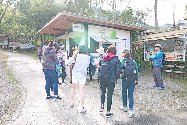 【桃園旅遊景點】桃源仙谷-桃園山中的世外桃源