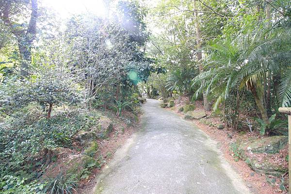 【桃園旅遊景點】桃源仙谷-桃園山中的世外桃源