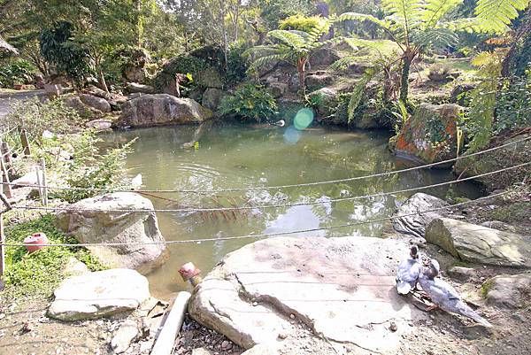 【桃園旅遊景點】桃源仙谷-桃園山中的世外桃源