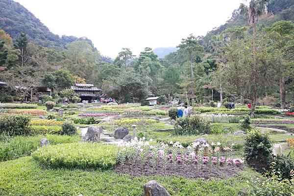 【桃園旅遊景點】桃源仙谷-桃園山中的世外桃源