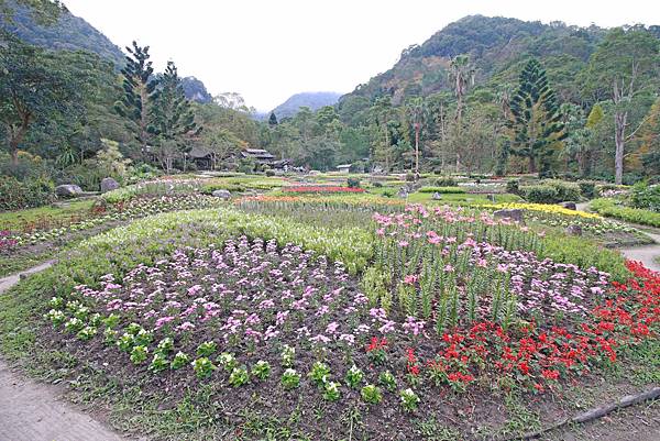 【桃園旅遊景點】桃源仙谷-桃園山中的世外桃源