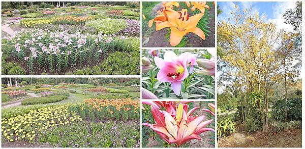 【桃園旅遊景點】桃源仙谷-桃園山中的世外桃源 【桃園旅遊景點】桃源仙谷-桃園山中的世外桃源