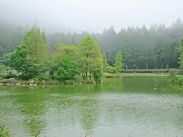 【宜蘭旅遊】明池國家森林遊樂區-流連忘返的美景