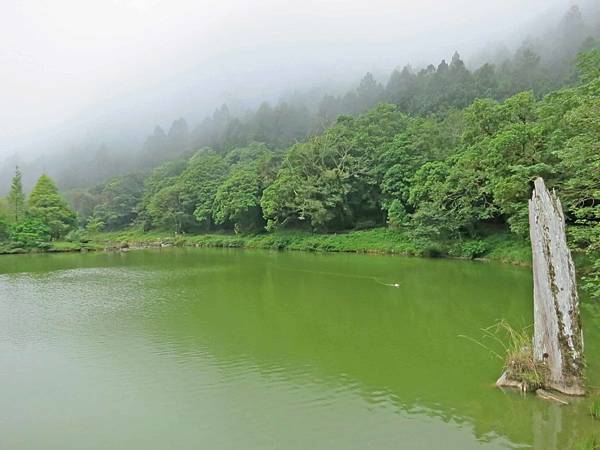 【宜蘭旅遊】明池國家森林遊樂區-流連忘返的美景
