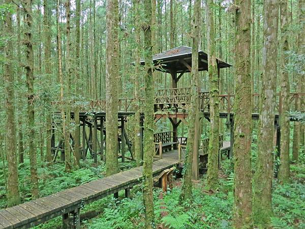 【宜蘭旅遊】明池國家森林遊樂區-流連忘返的美景