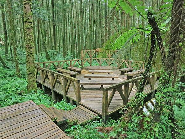 【宜蘭旅遊】明池國家森林遊樂區-流連忘返的美景