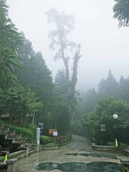 【宜蘭旅遊】明池國家森林遊樂區-流連忘返的美景