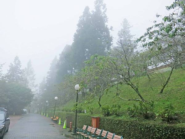 【宜蘭旅遊】明池國家森林遊樂區-流連忘返的美景