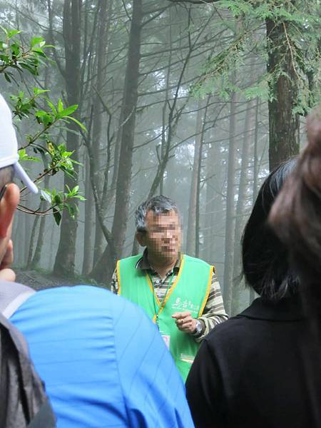 【宜蘭旅遊】馬告生態公園神木園-千年歲月，歷史見證