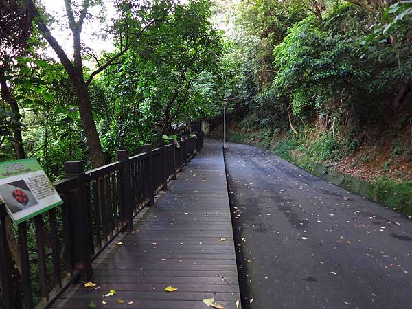 【台北旅遊】瓊仔湖登山步道-台北美麗夜景、約會聖地最佳選擇