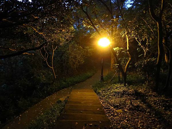 【台北旅遊】瓊仔湖登山步道-台北美麗夜景、約會聖地最佳選擇