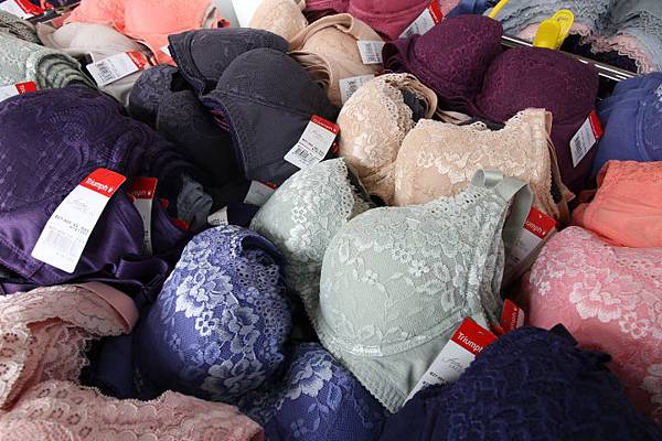 【百貨公司品牌內衣褲全面下殺5折起！！】抗寒刷毛衣99元，保暖衣5折起，品牌內衣690元，2件990元，2套1200，專櫃今年最新款式正品滿3800元送500元