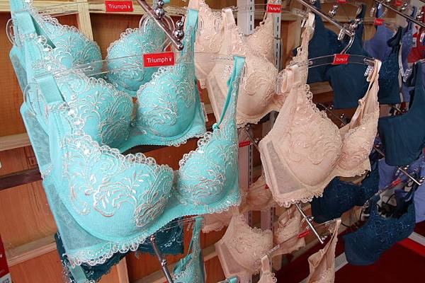 【百貨公司品牌內衣褲全面下殺5折起！！】抗寒刷毛衣99元，保暖衣5折起，品牌內衣690元，2件990元，2套1200，專櫃今年最新款式正品滿3800元送500元