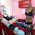 【百貨公司品牌內衣褲全面下殺5折起！！】抗寒刷毛衣99元，保暖衣5折起，品牌內衣690元，2件990元，2套1200，專櫃今年最新款式正品滿3800元送500元