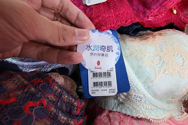 【百貨公司品牌內衣褲全面下殺5折起！！】抗寒刷毛衣99元，保暖衣5折起，品牌內衣690元，2件990元，2套1200，專櫃今年最新款式正品滿3800元送500元