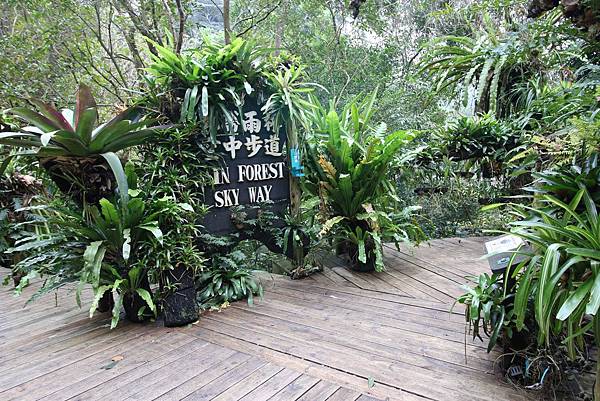 【新竹旅遊】綠世界生態農場-可愛動物互動農場