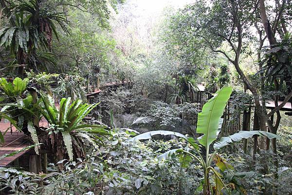 【新竹旅遊】綠世界生態農場-可愛動物互動農場