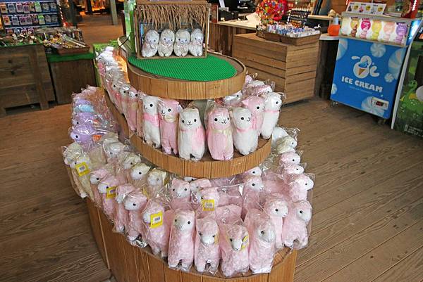 【新竹旅遊】綠世界生態農場-可愛動物互動農場