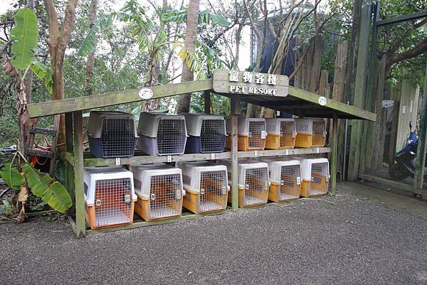 【新竹旅遊】綠世界生態農場-可愛動物互動農場