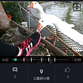 【旅遊APP】Bubboe APP-照片語音也能創造新生命