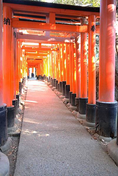 【京都旅遊】伏見稻荷大社-數不清的千本鳥居