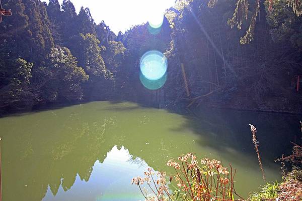 【京都旅遊】伏見稻荷大社-數不清的千本鳥居