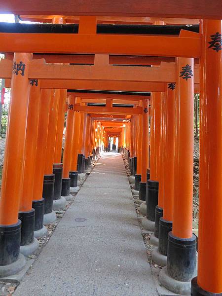 【京都旅遊】伏見稻荷大社-數不清的千本鳥居