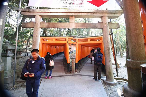 【京都旅遊】伏見稻荷大社-數不清的千本鳥居