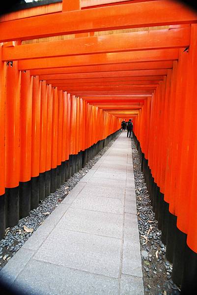 【京都旅遊】伏見稻荷大社-數不清的千本鳥居