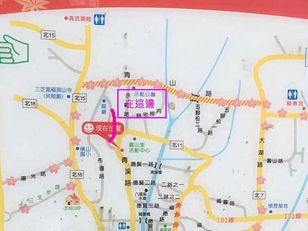 【台北旅遊】三芝真龍殿寶塔-櫻花秘境步道