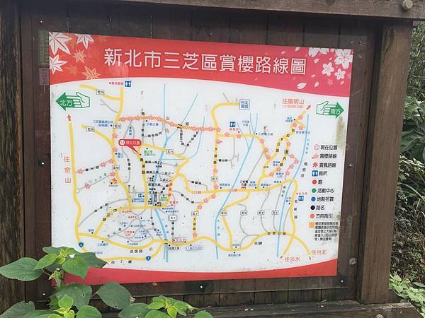 【台北旅遊】三芝真龍殿寶塔-櫻花秘境步道